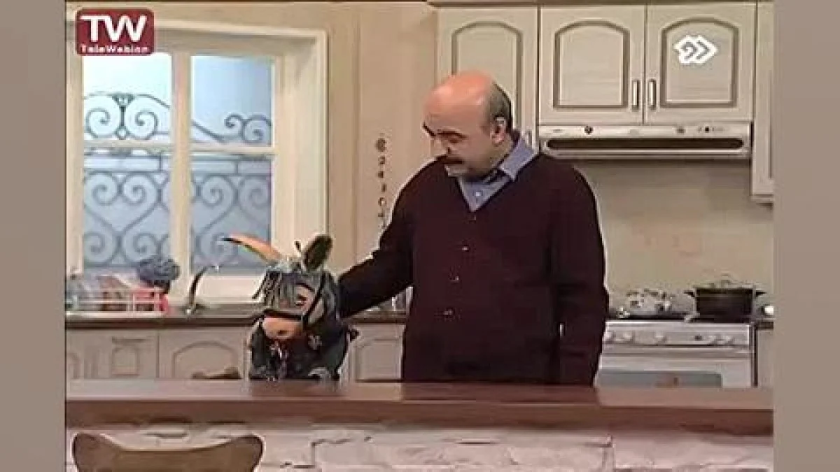 کلاهقرمزی ۹۴ | جیگر دنبال رفیق جدید | «آقای مجری عسلم!» کلاهقرمزی ۹۴ | جیگر دنبال رفیق جدید | «آقای مجری عسلم!»