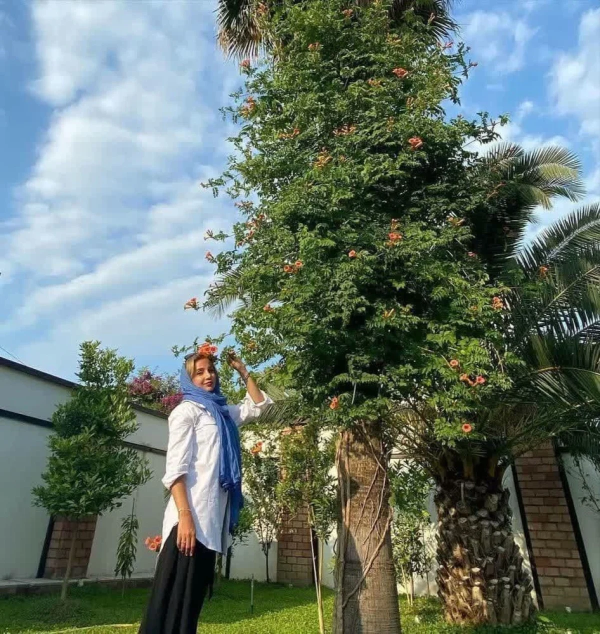 پوشش متفاوت شبنم قلیخانی در عکس جدیدش پوشش متفاوت شبنم قلیخانی در عکس جدیدش