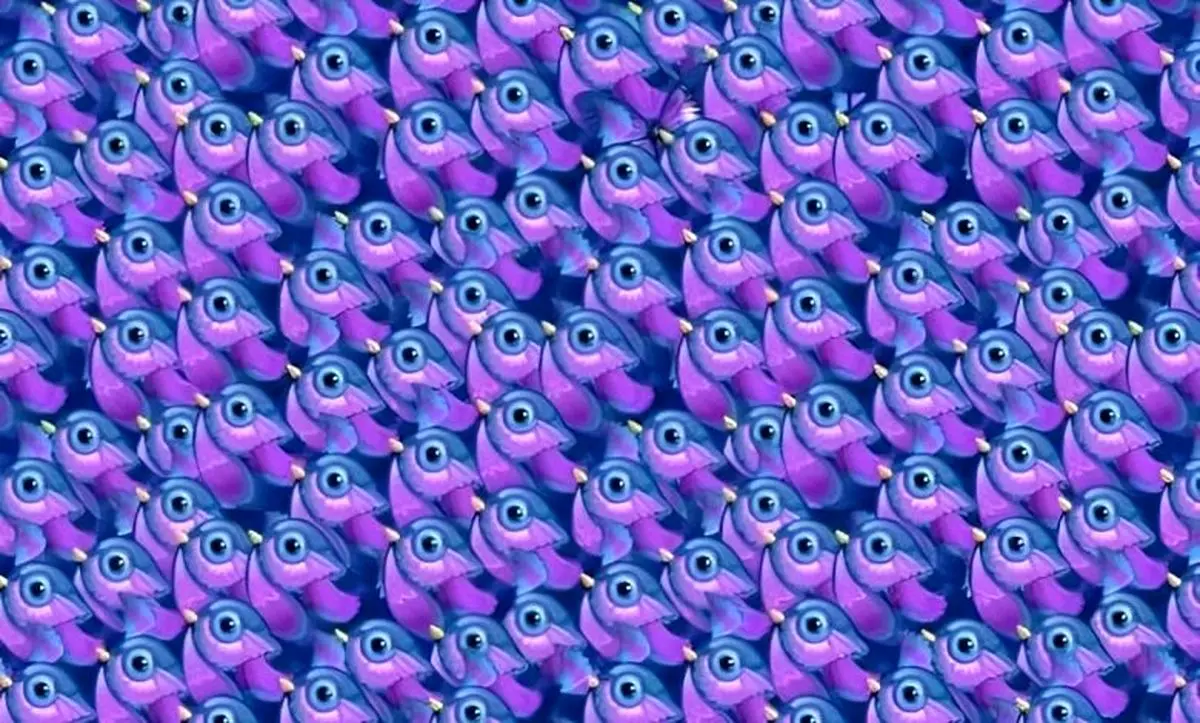 تست بینایی/ آیا میخواهید مهارتهای مشاهده خود را آزمایش کنید؟ پس پروانه را میان پرندگان پیدا کنید تست بینایی/ آیا میخواهید مهارتهای مشاهده خود را آزمایش کنید؟ پس پروانه را میان پرندگان پیدا کنید