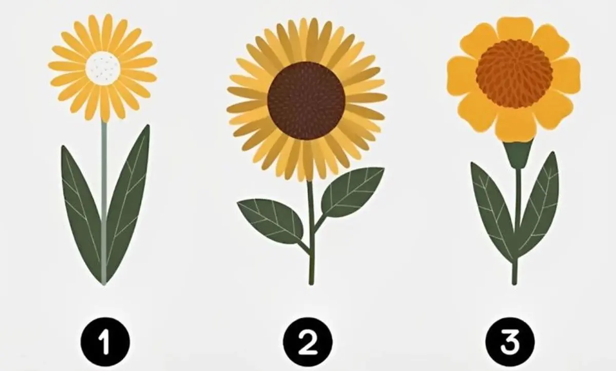 تست شخصیت شناسی: یکی از گل های زرد را انتخاب کنید تا بفهمید چه اندازه اهل ماجراجویی هستید تست شخصیت شناسی: یکی از گل های زرد را انتخاب کنید تا بفهمید چه اندازه اهل ماجراجویی هستید