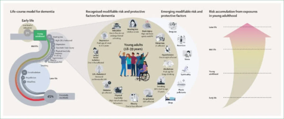 دانشمندان هشدار میدهند: زوال عقل از کودکی شروع میشود، نه سالمندی دانشمندان هشدار میدهند: زوال عقل از کودکی شروع میشود، نه سالمندی