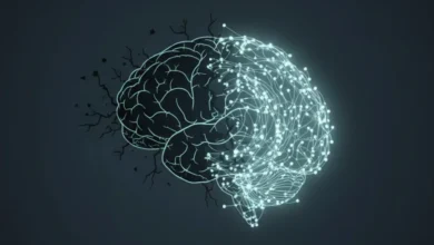 خواب بد چطور مغز را وارد چرخهای میکند که راه فرار ندارد؟ خواب بد چطور مغز را وارد چرخهای میکند که راه فرار ندارد؟