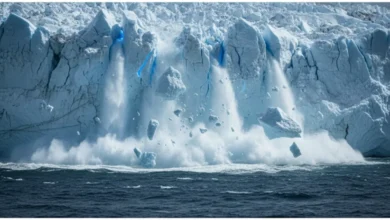 زمین در اوج انقراض یخچالها؛ سالی ۳۰۰۰ یخچال برای همیشه ناپدید میشوند زمین در اوج انقراض یخچالها؛ سالی ۳۰۰۰ یخچال برای همیشه ناپدید میشوند