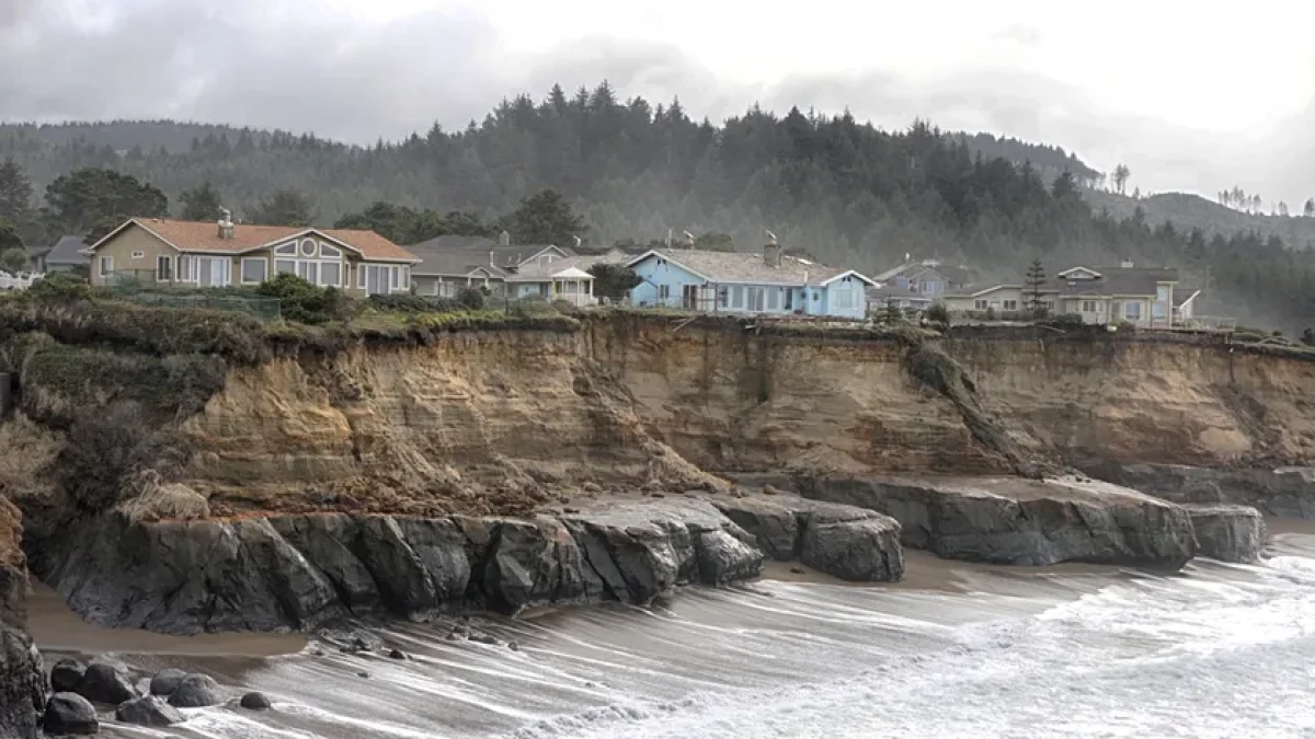 آمازون در آستانه فروپاشی اقلیمی؟ هشدار تازه درباره مرگ درختان