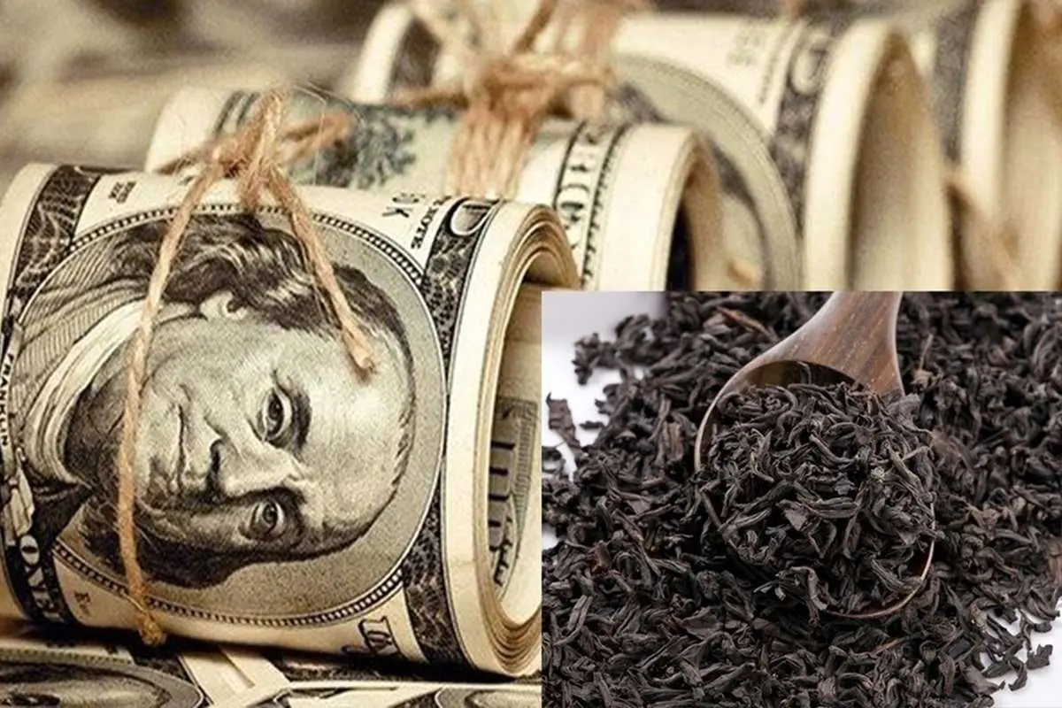 دیوان عالی کشور: تمام اعاده دادرسی‌های پرونده چای دبش رد شد