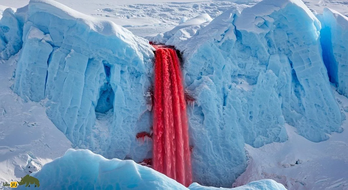 آبشاری که در قطب جنوب «خون» می‌ریزد؛ ماجرا چیست؟