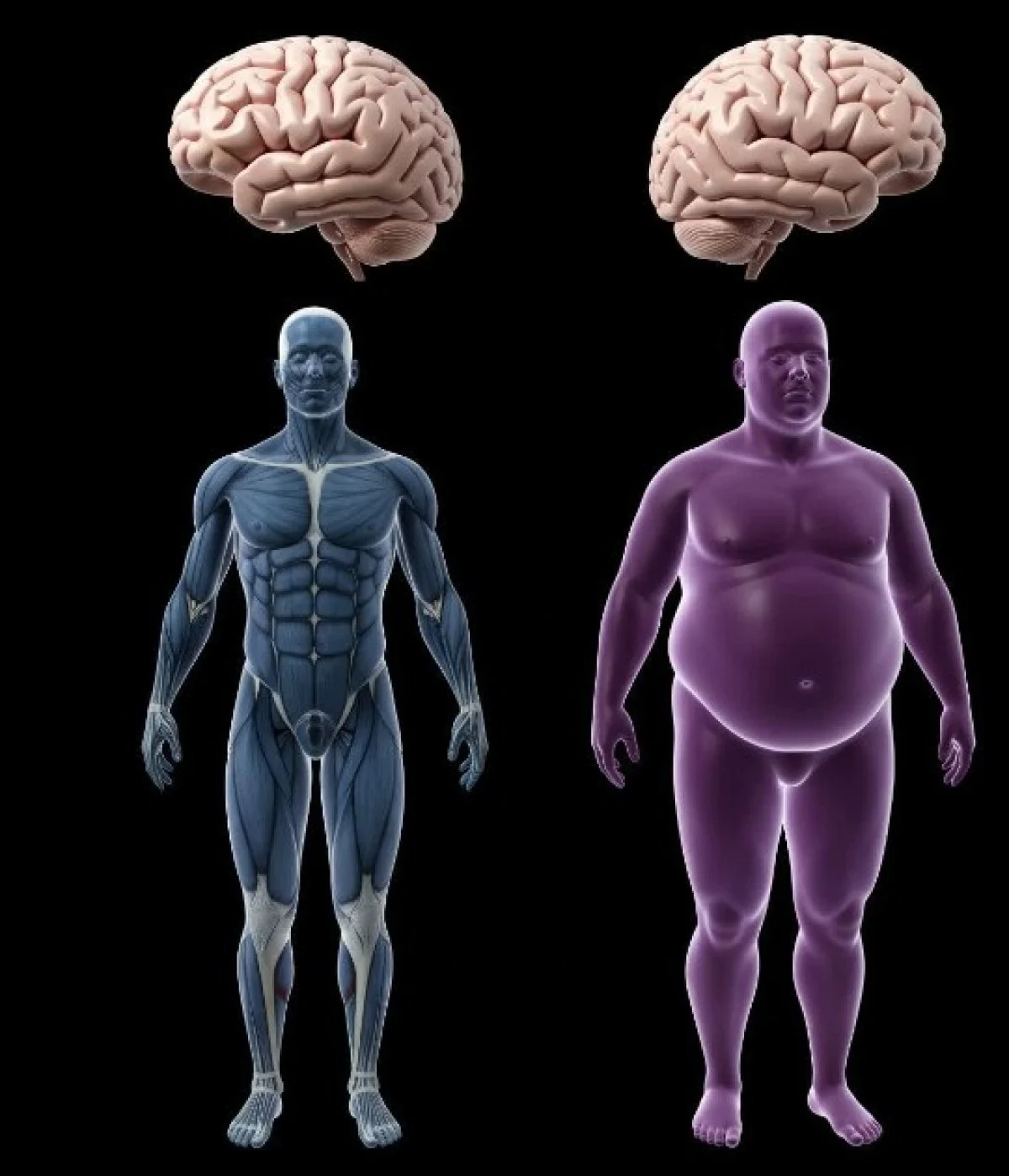 چاقی چگونه حافظه و تمرکز مغز را تضعیف می‌کند؟