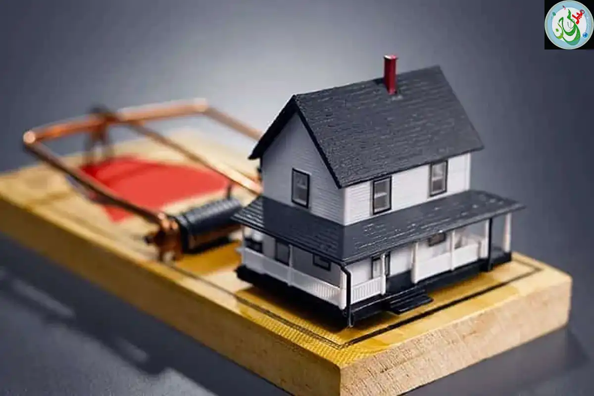 دستگیری متهم بزرگ پیشفروش صوری مسکن در مرز کشور دستگیری متهم بزرگ پیشفروش صوری مسکن در مرز کشور