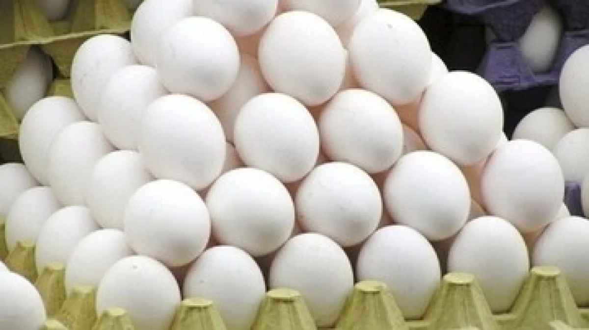 کشف محموله میلیاردی تخممرغ غیرمجاز در ایست بازرسی تیلآباد کشف محموله میلیاردی تخممرغ غیرمجاز در ایست بازرسی تیلآباد